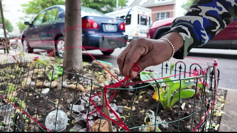 Story image: Bed-Stuy residents call for dog owners to curb their pets, protect MacDougal Street flower gardens