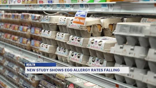 eggallergy0608_2026-06-08-16-50-19