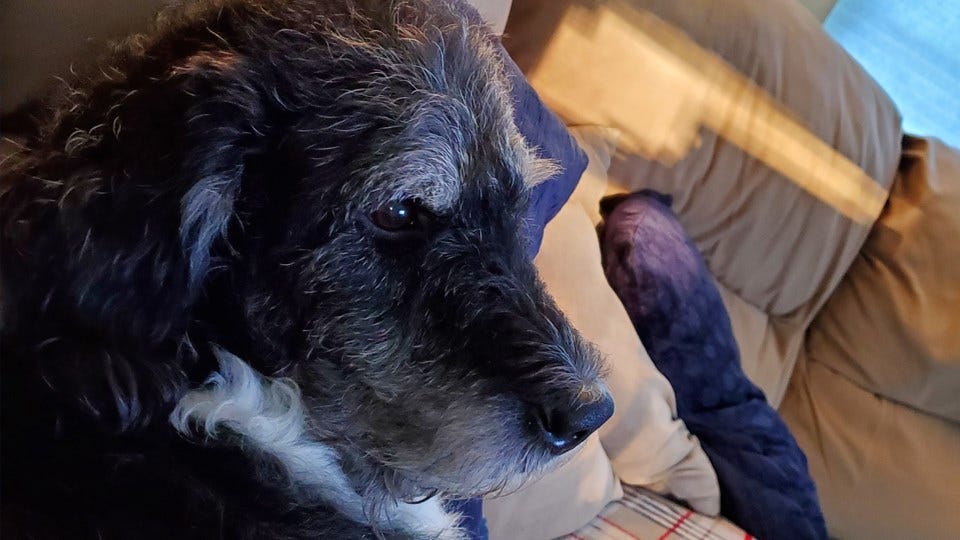 Article 11076 Thumbnail