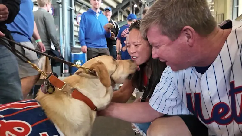 Story image: Centerport couple training NY Mets guide dog