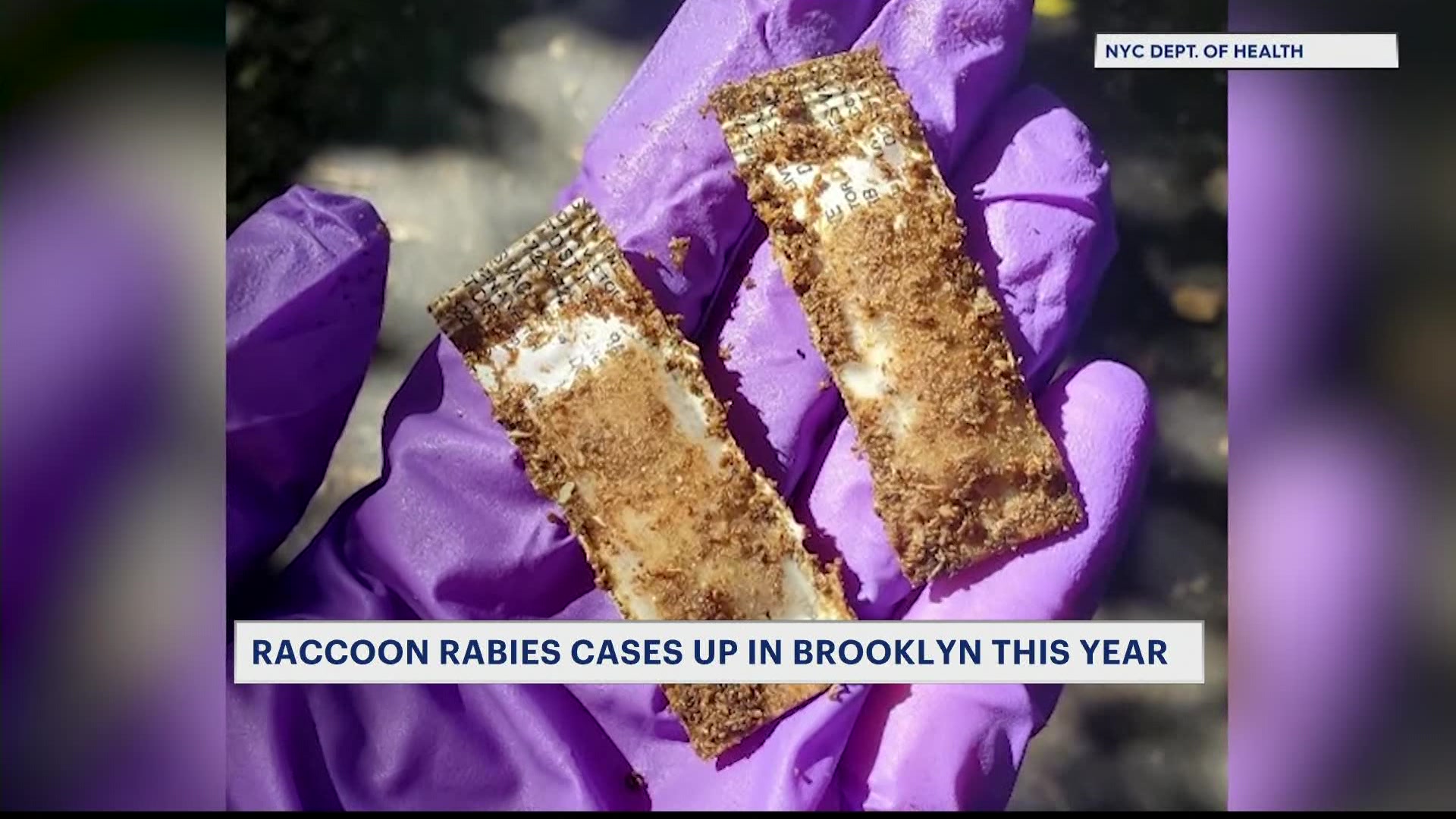 rabidraccoonsCM_2026-04-24-22-51-23