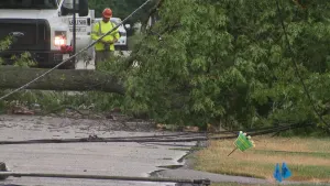 Storms bring damaging winds, knock down power lines across Northern New Jersey communities