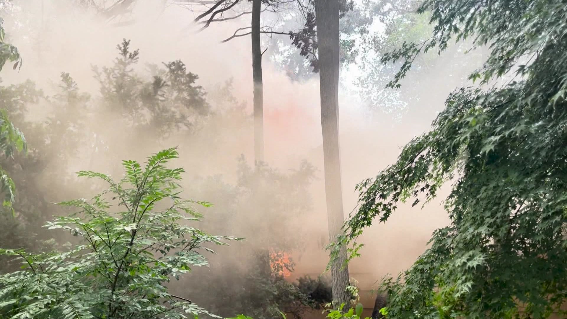 LISELDENFIRE715_2026-07-15-05-09-41