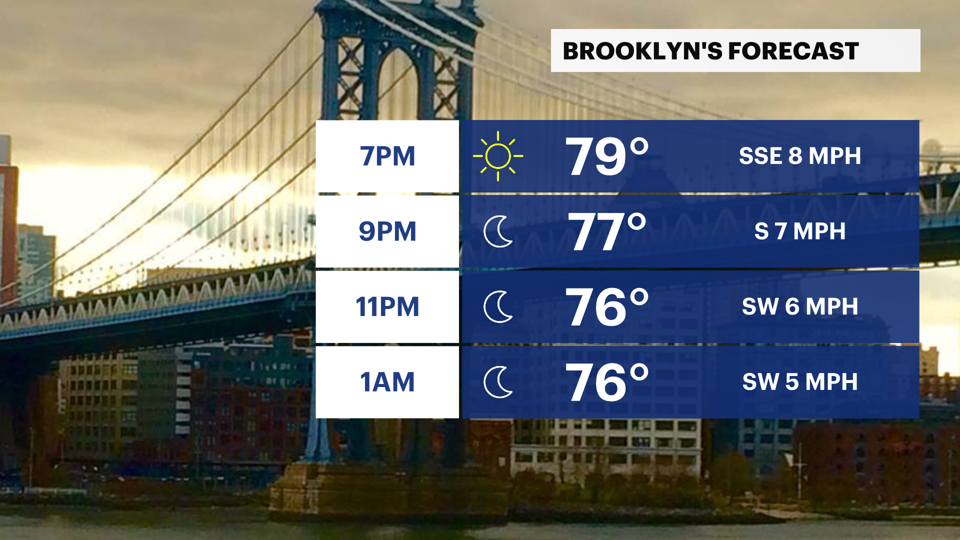 BROOKLYN PLANNER_PM.png