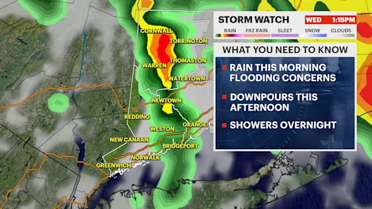 LD STORM WATCH