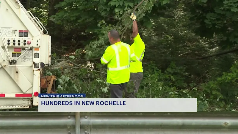 Story image: Downed tree knocks out power to hundreds in New Rochelle