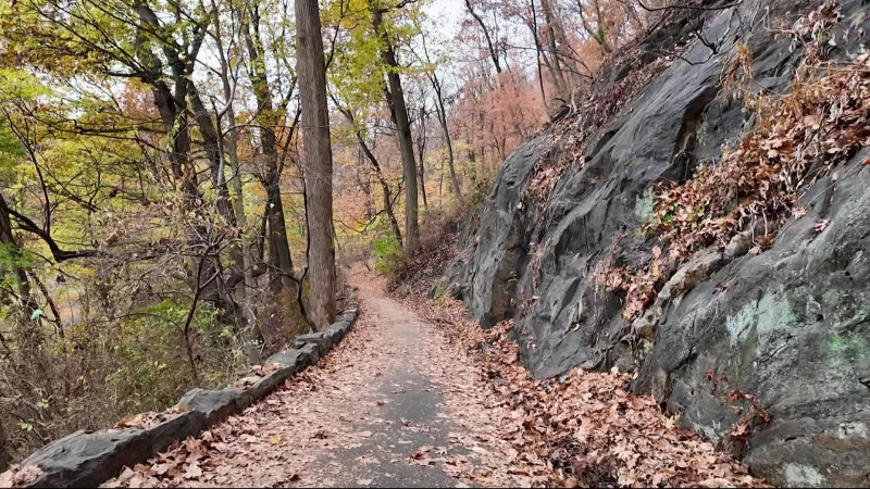 Story image: City officials continue to tackle brushfire aftermath at Inwood Hill Park