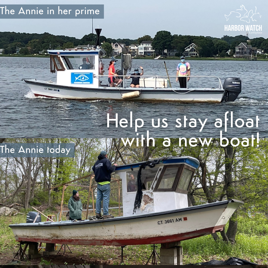 C&C_TheAnnie.Social Post.CC.png