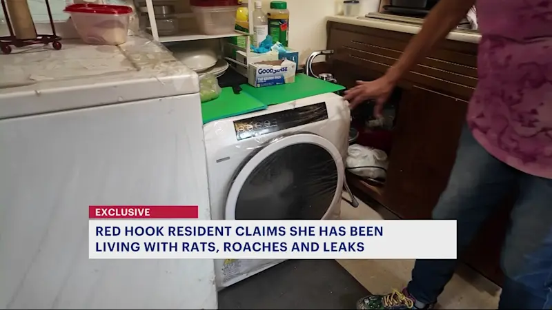 Story image: Red Hook senior says roaches, rats and leaks have plagued her apartment for months