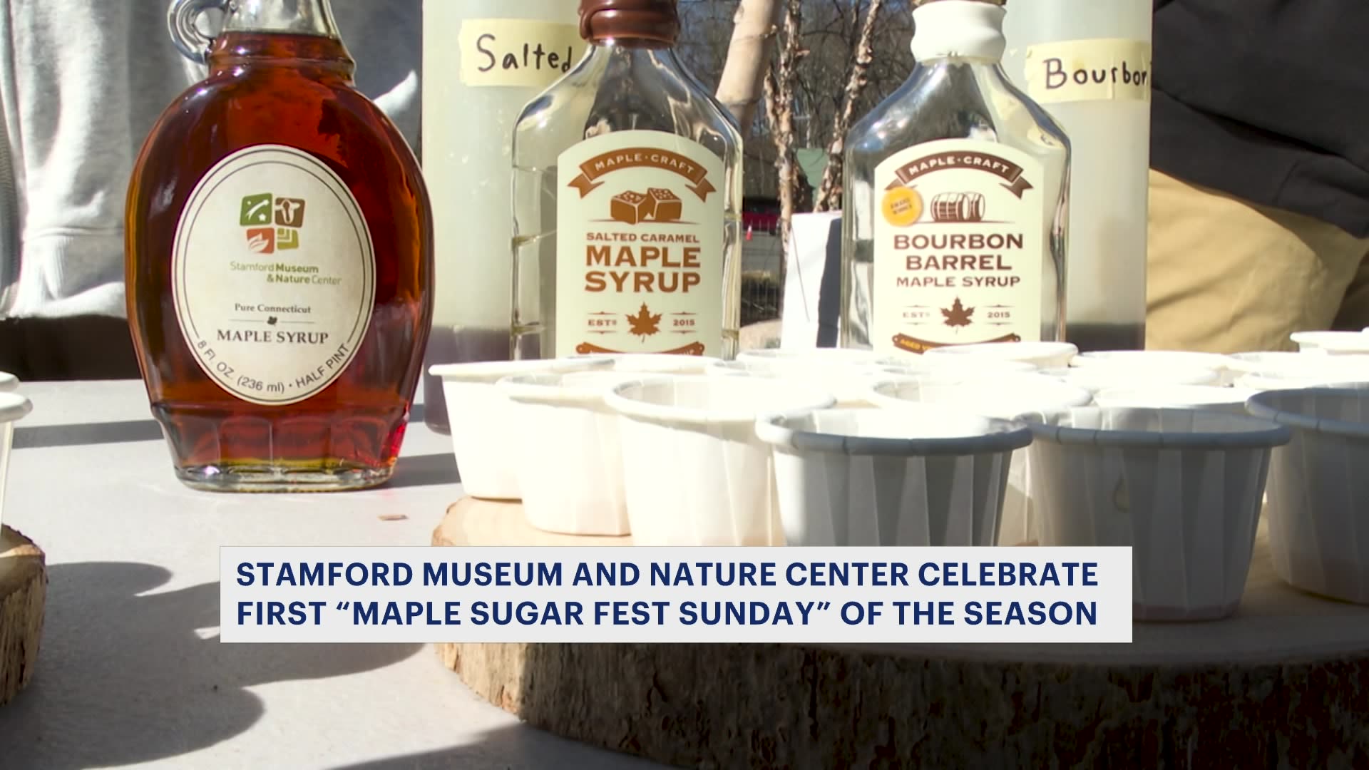 Maple Sugar Fest Sundays kicks off at the Stamford Museum and Nature Center