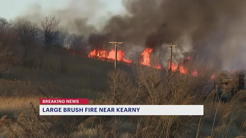 Story image: Smoke from brush fire on border of Kearny and North Arlington seen for miles