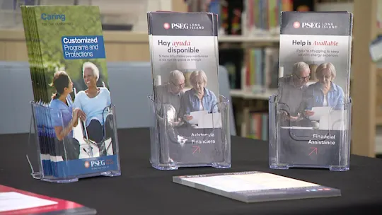 LITAXINGPSEGSAVINGS81826_2026-08-18-05-54-45