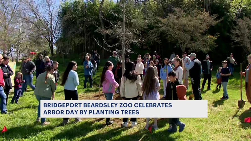 Story image: Beardsley Zoo celebrates Arbor Day