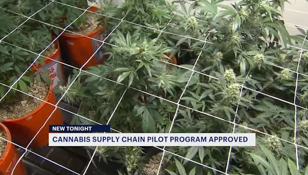 NJ launches NJ LEAF program to help support state’s cannabis supply chain