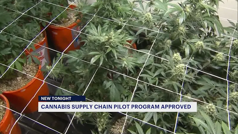 Story image: NJ launches NJ LEAF program to help support state’s cannabis supply chain