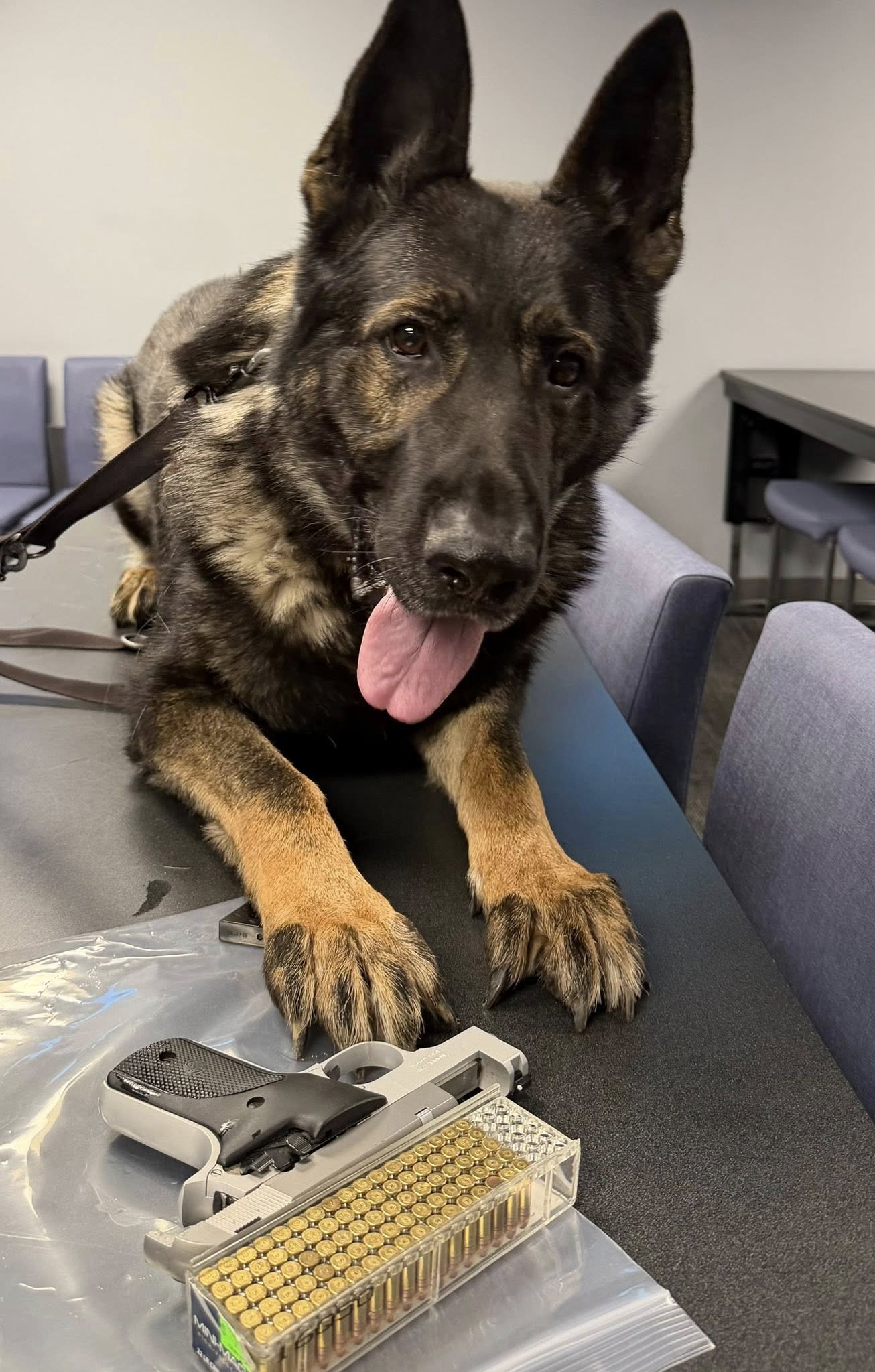 WASHINGTON TWP K9 1