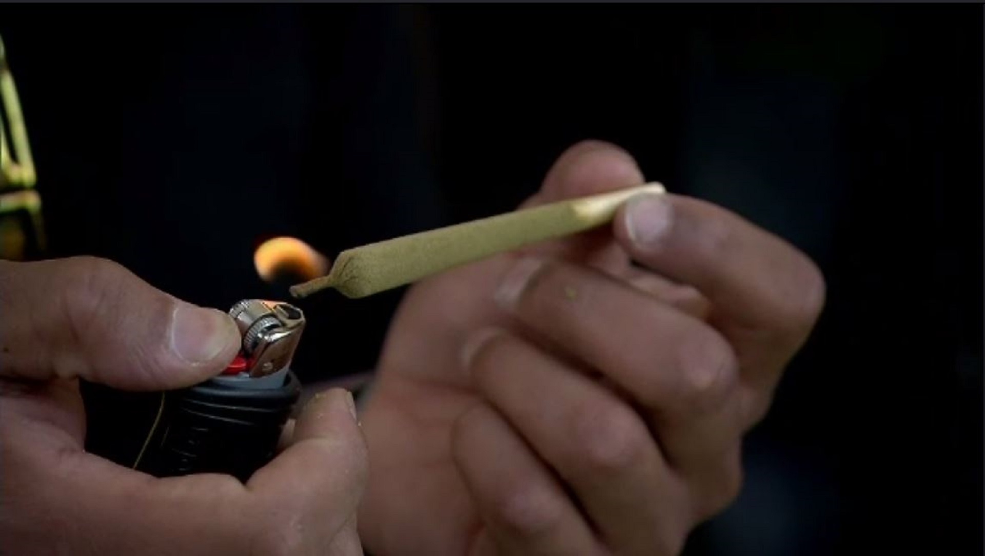 Article 257560 Hero Image