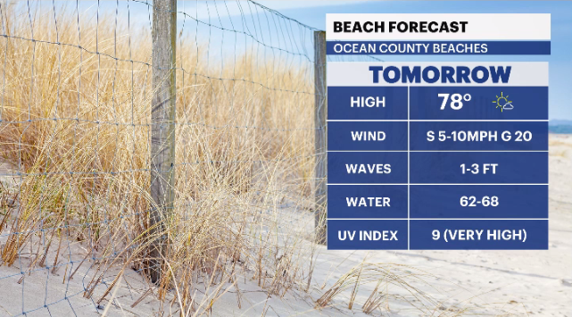 beach cast Ocean county.PNG