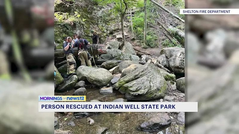 Story image: Person injured in 25-foot jump into Shelton swimming hole