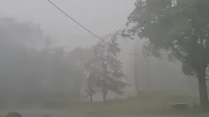 Caught on camera: Intense storm downs trees in Chester