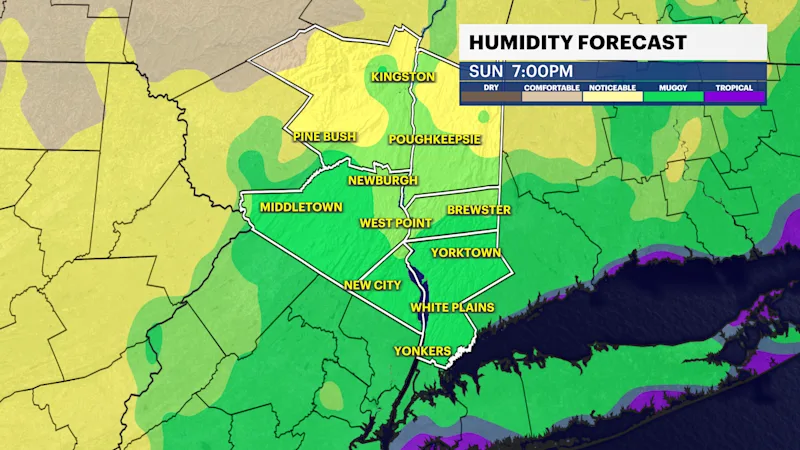 EXTENDED F_Humidity.png