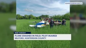 Officials: Single-engine plane crash-lands in Holland Township field