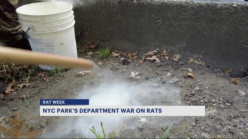 Story image: NYC Park's Department reveals methods used to exterminate rats