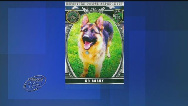 Article 144150 Thumbnail