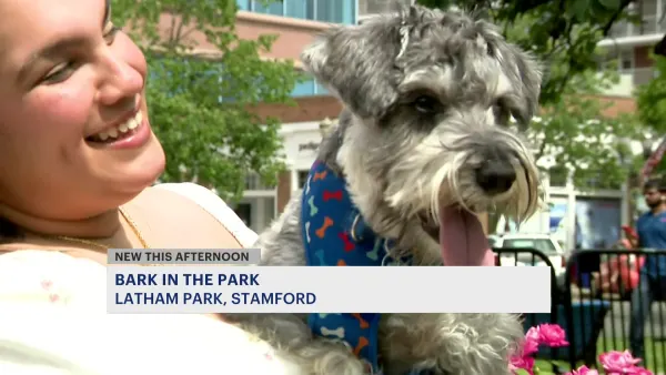 Stamford's annual 'Bark in Park' benefits animal rescue groups