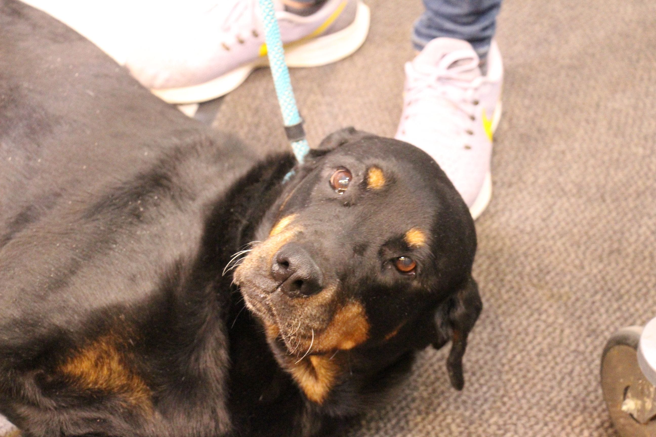 Article 3576 Thumbnail