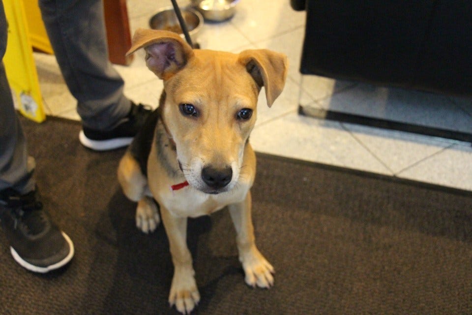 Article 140940 Thumbnail