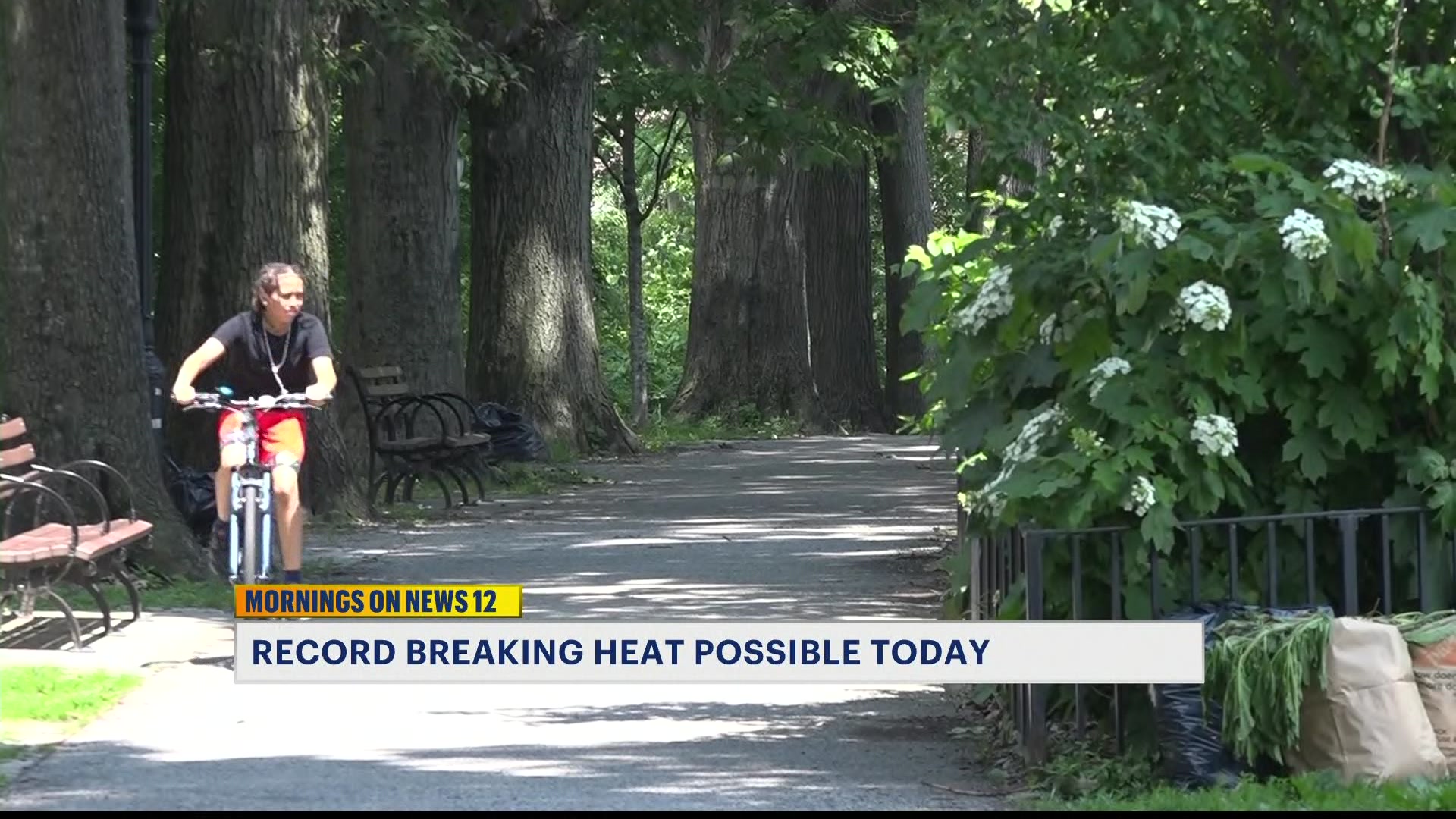 Bronxites get a taste of summer; record breaking temps possible today 