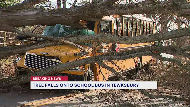 Story image: Police: Tree falls on to school bus in Tewksbury carrying 10 students, driver