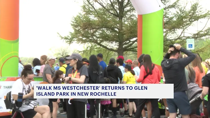 Story image: Westchester aims for $500K in donations at Walk MS fundraiser