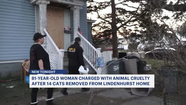 Lindenhurst woman faces animal cruelty charges following rescue of over a dozen cats