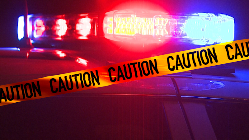 Story image: BMW fatally strikes 27-year-old man, crashes into telephone pole in Williamsbridge