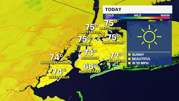 Bright and warm conditions in Brooklyn