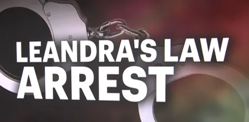 leandra's law