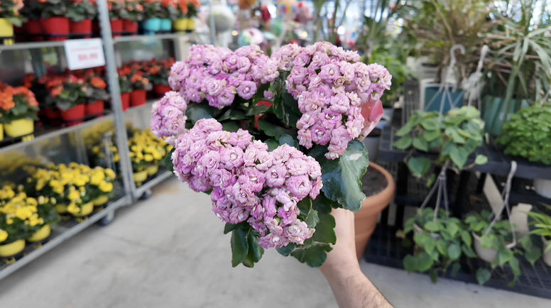 Screenshot 2026-03-25 at 8.41.42 PM.png