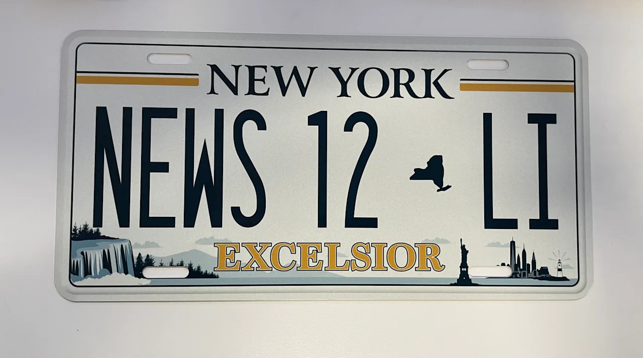 News 12 fake license plate