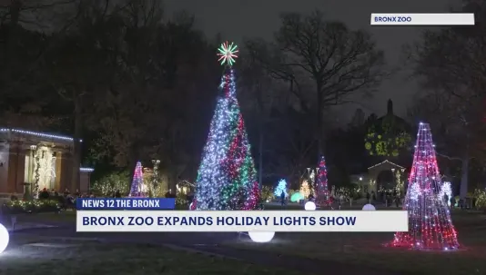 RTREGBXBronxZooHolidayLightsSG001