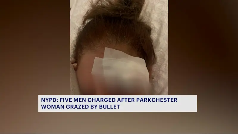 Story image: NYPD: 5 men charged, woman grazed by bullet inside her Parkchester home