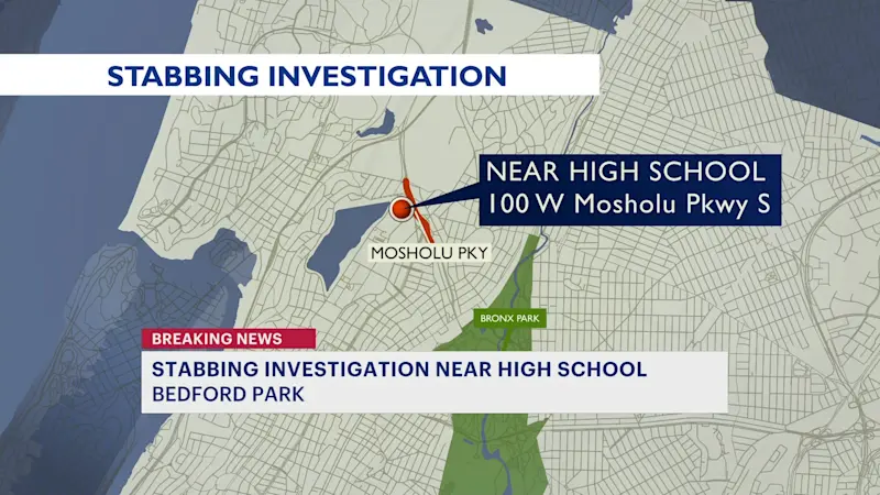 Story image: 15-year-old boy slashed near DeWitt Clinton High School in Bedford Park