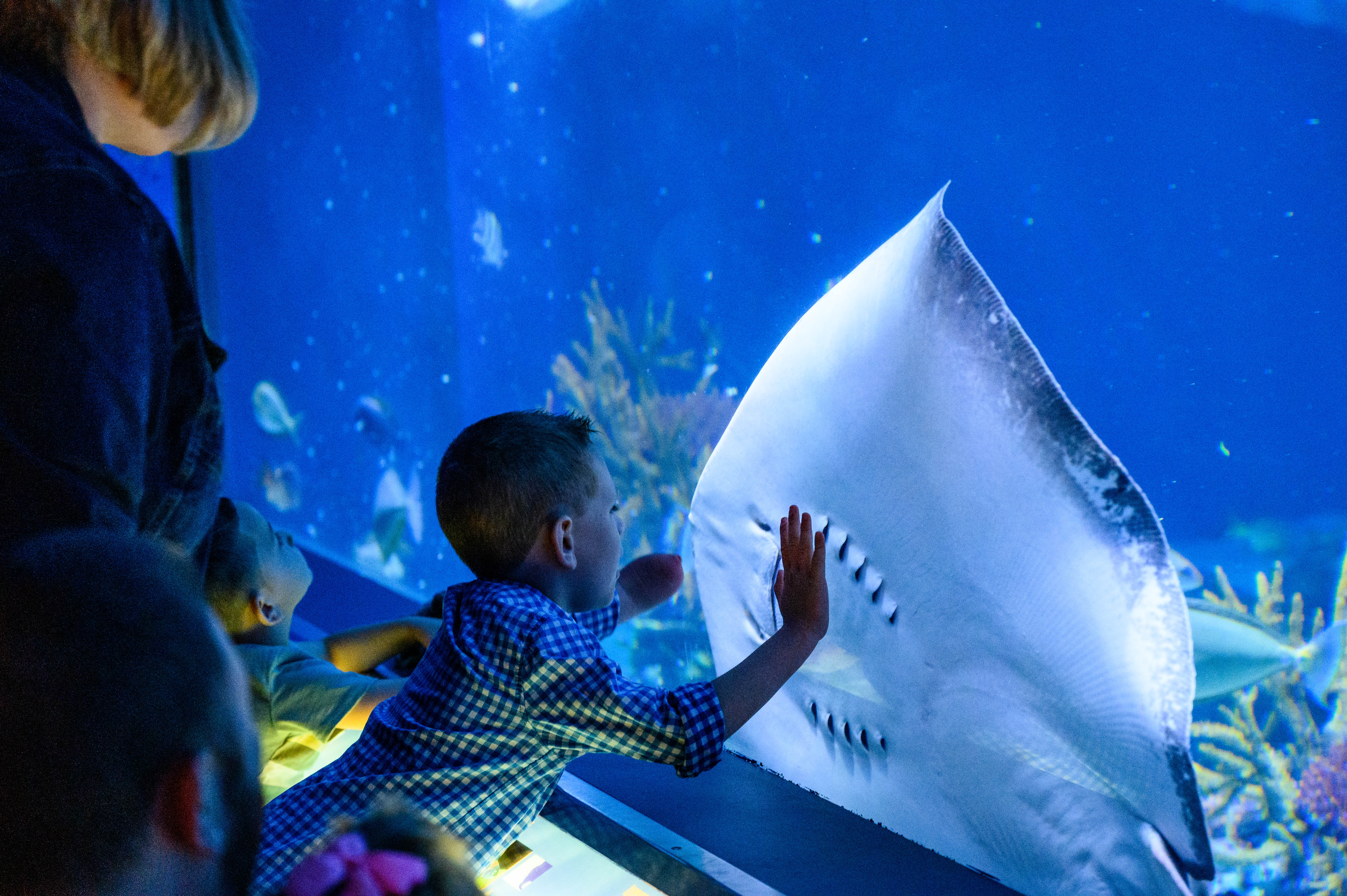 Adventure-Aquarium-Full-res-5-23-224.jpg