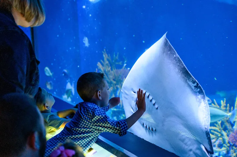 Adventure-Aquarium-Full-res-5-23-224.jpg