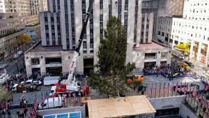 Massive spruce, fresh from Orange County, arrives in Rockefeller Center