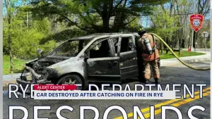 Car destroyed in Rye after bursting into flames