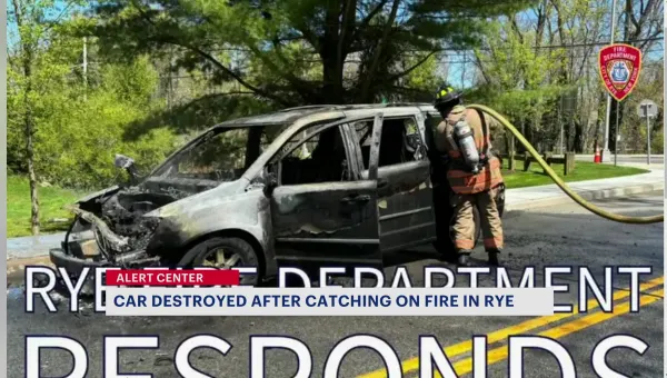 Car destroyed in Rye after bursting into flames