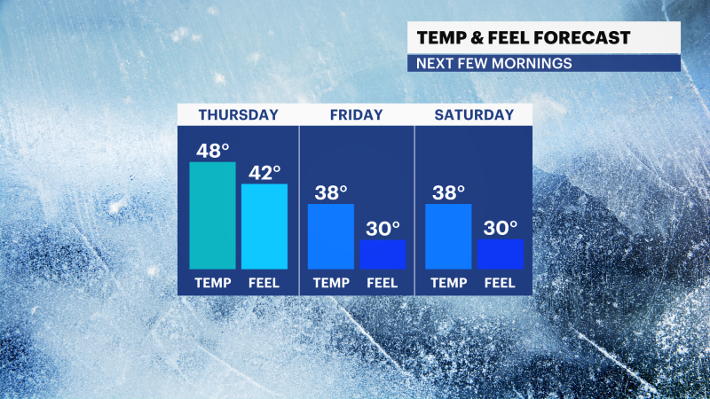 Story image: STORM WATCH: Widespread rain and gusty winds with falling temperatures today for Brooklyn