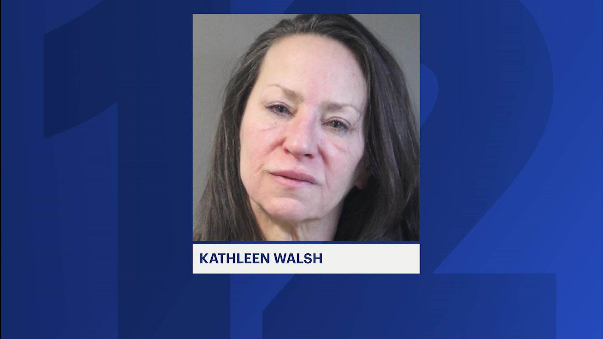 Police intoxicated woman arrested for biting officer in westbury